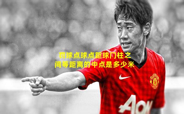 罚球点球点距球门柱之间等距离的中点是多少米