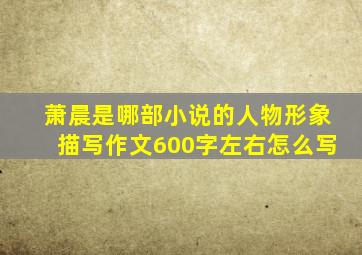 萧晨是哪部小说的人物形象描写作文600字左右怎么写