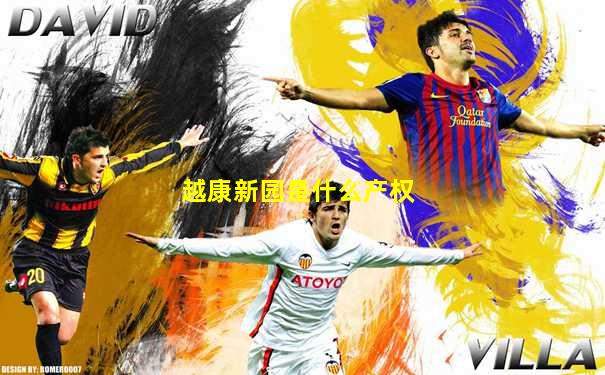 越康新园是什么产权