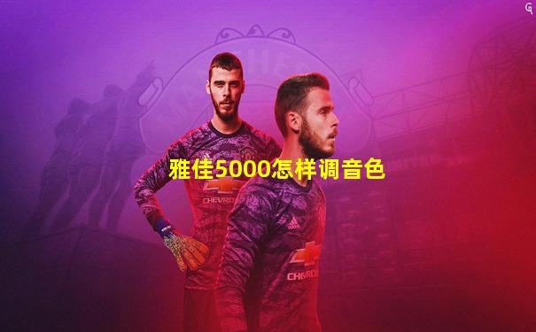 雅佳5000怎样调音色