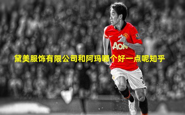 黛美服饰有限公司和阿玛哪个好一点呢知乎